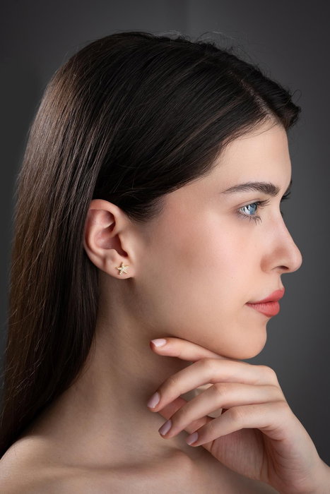 Heliophilia Silver Pendientes de Plata de Ley 925 con Recubrimiento de Oro y Circón